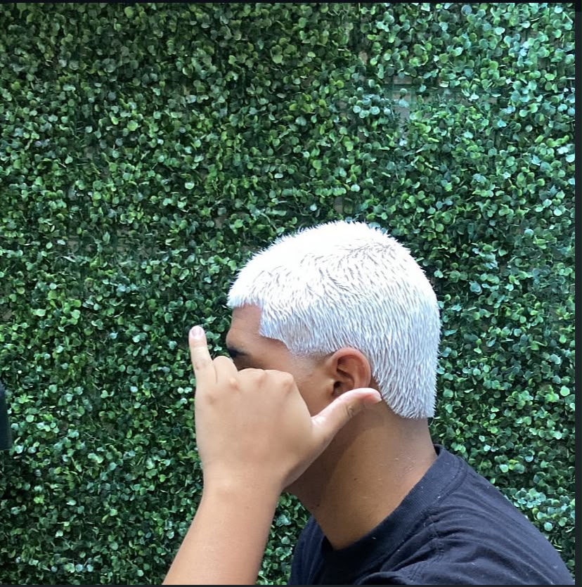 Trabalho 4 da Pedrin Barbearia